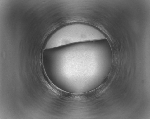 X0000068720585200604280926