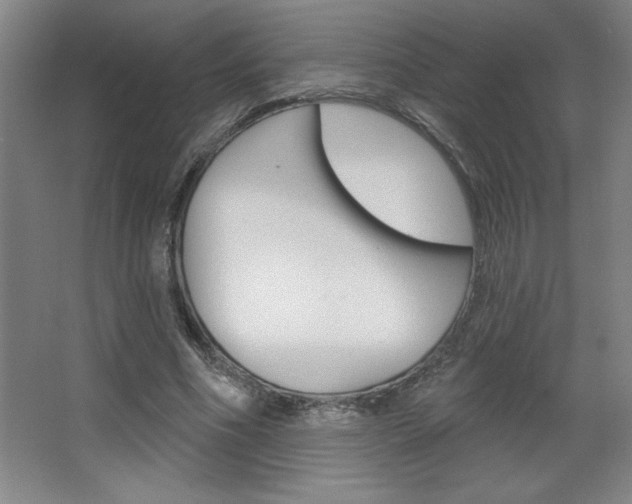 X0000068720586200604280926