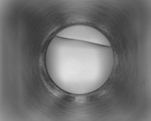 X0000068720591200604280926