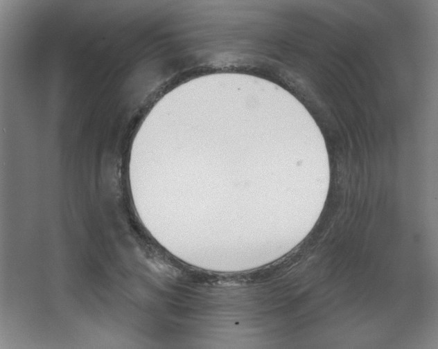 X0000068720592200604280926