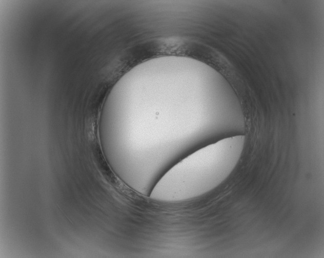 X0000068720602200604280926