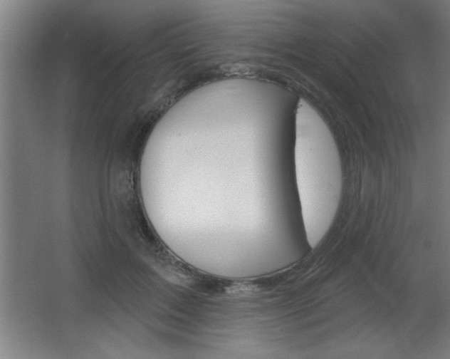 X0000068720603200604280926