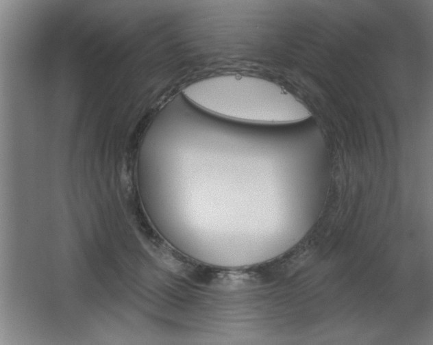 X0000068720607200604280926