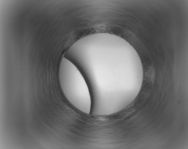 X0000068720610200604280926