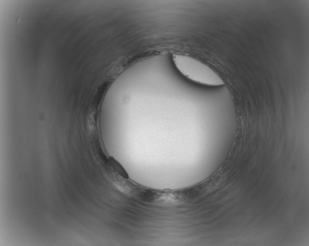 X0000068720611200604280926