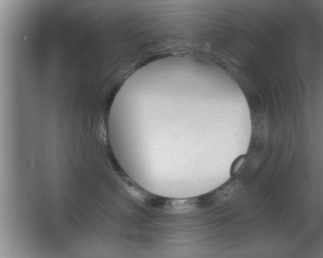 X0000068720622200604280926