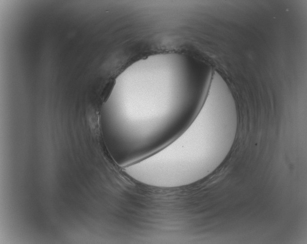 X0000068720624200604280926
