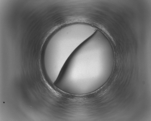 X0000068720629200604280925