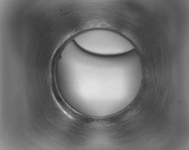 X0000068720630200604280925
