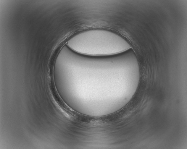 X0000068720634200604280925