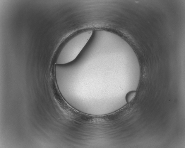 X0000068720636200604280925