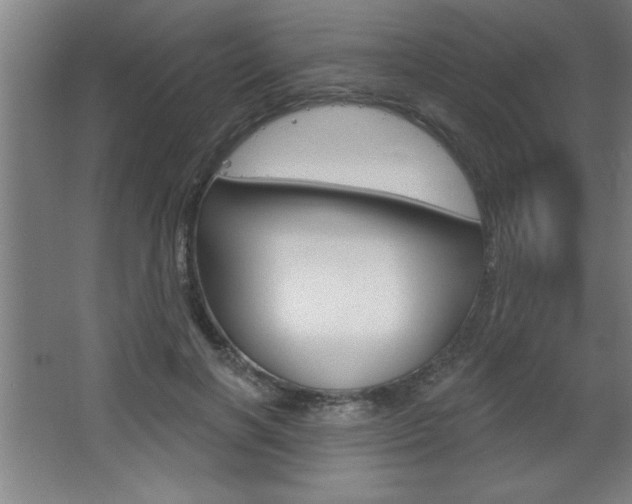 X0000068720646200604280925