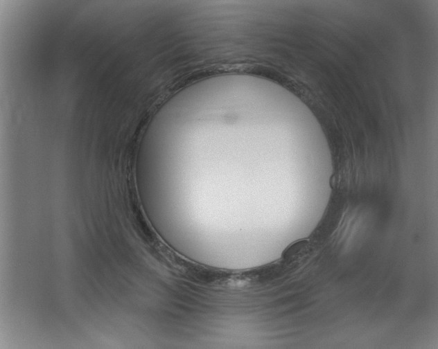 X0000068720647200604280925