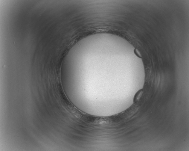 X0000068720655200604280925