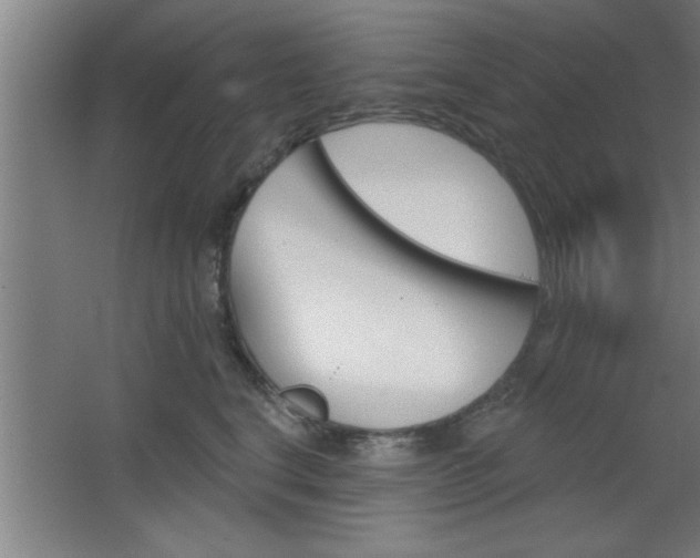 X0000068720664200604280925