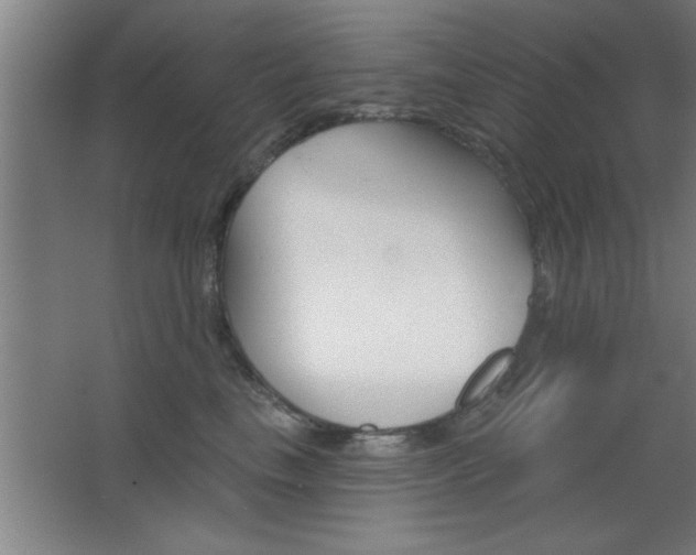 X0000068720665200604280925