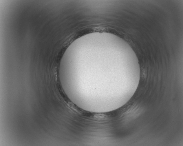X0000068720666200604280925