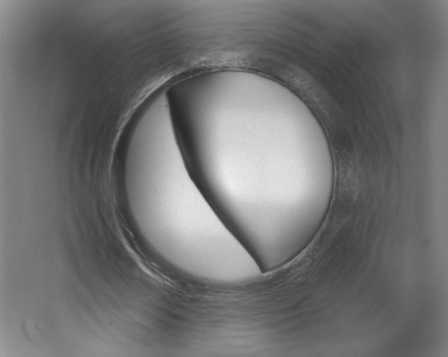 X0000068720674200604280925