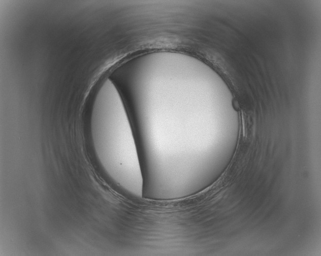 X0000068720675200604280925