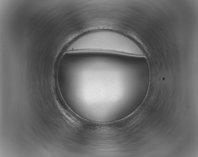 X0000068720677200604280925