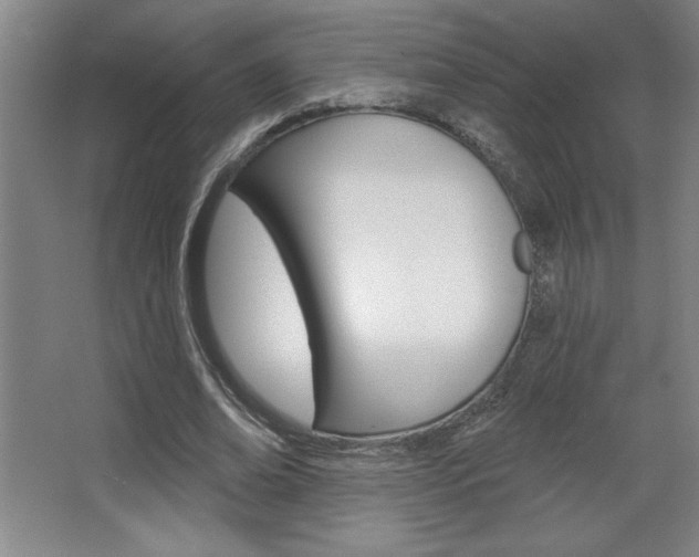 X0000068720678200604280925