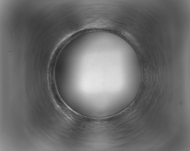 X0000068720680200604280925