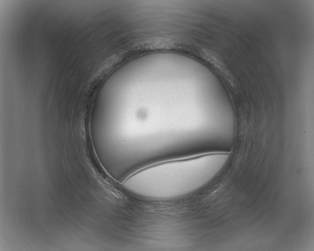 X0000068720681200604280925