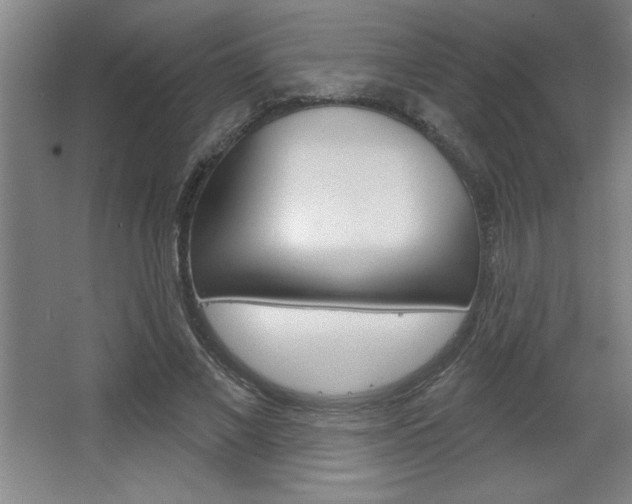 X0000068720685200604280925