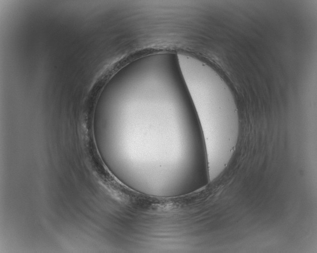 X0000068720688200604280925