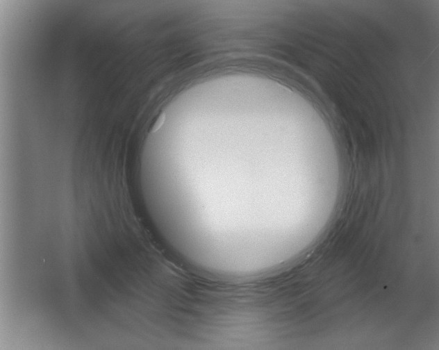 X0000068720701200604280924