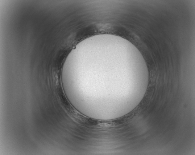 X0000068720703200604280924