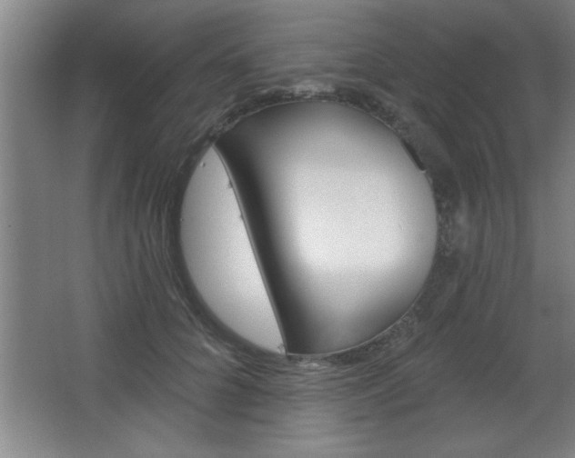 X0000068720704200604280924