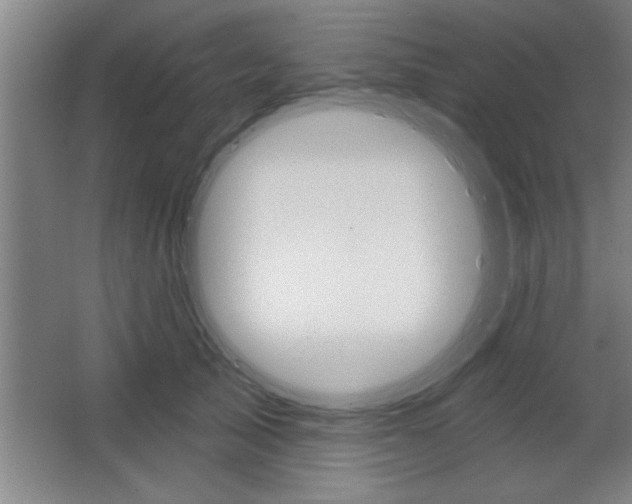 X0000068720705200604280924