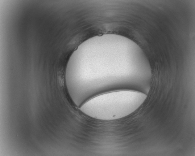 X0000068720719200604280924