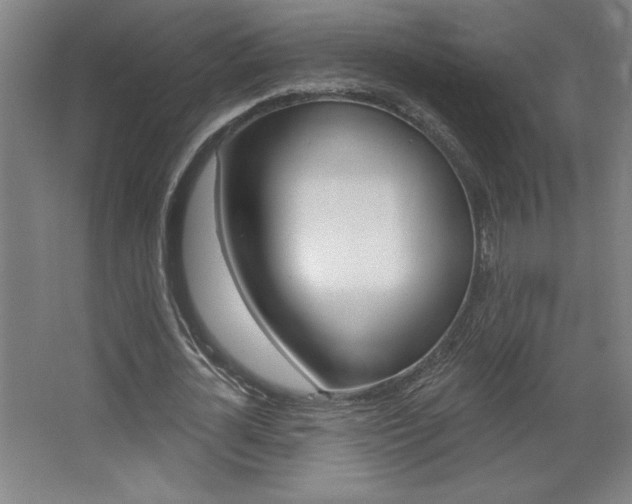 X0000068720724200604280923