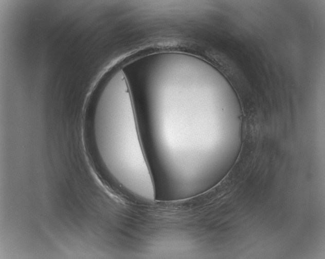 X0000068720728200604280923