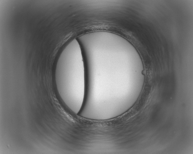 X0000068720729200604280923