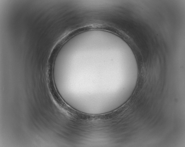 X0000068720730200604280923