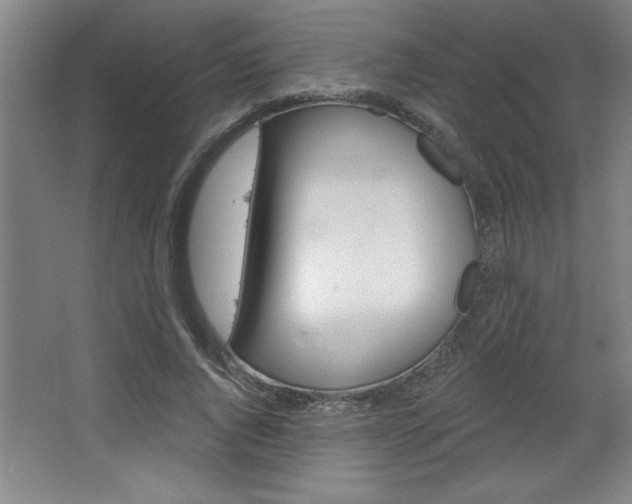 X0000068720736200604280923