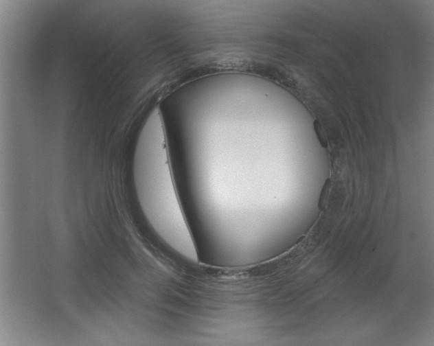 X0000068720744200604280924