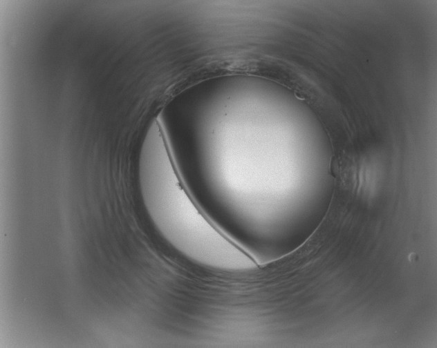 X0000068720748200604280924