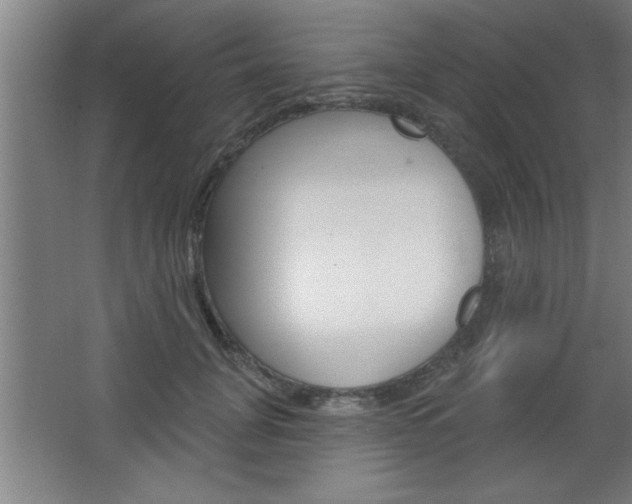 X0000068720751200604280924