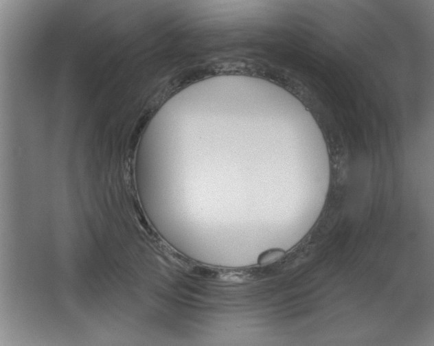 X0000068720753200604280924