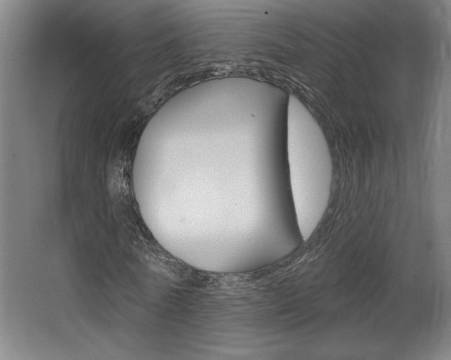 X0000068720770200604280923