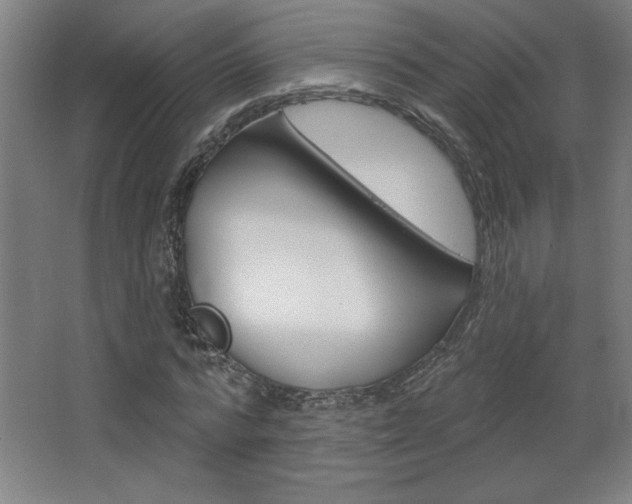 X0000068720776200604280923