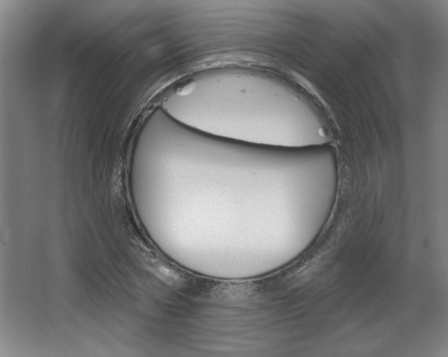 X0000068720778200604280923