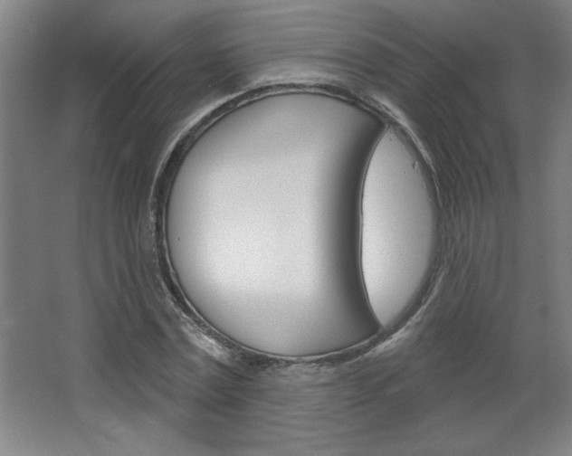 X0000068720779200604280923