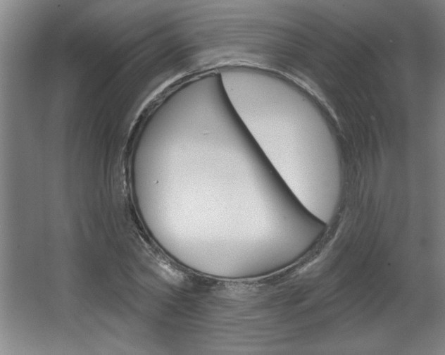 X0000068720782200604280923