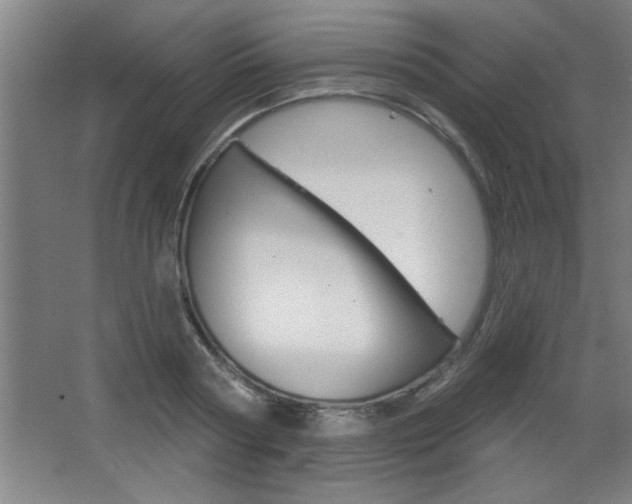 X0000068720794200604280923