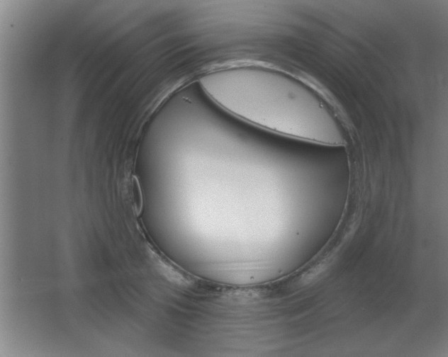X0000068720801200604280923
